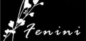 Fenini Logo Black Fenini Logo Black